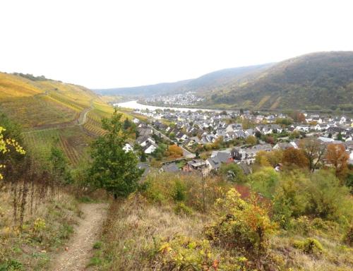 HerbstfarbenMosel26102024-006
