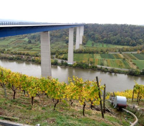 HerbstfarbenMosel26102024-016