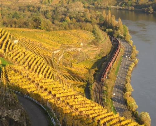 HerbstfarbenMosel28102024-004