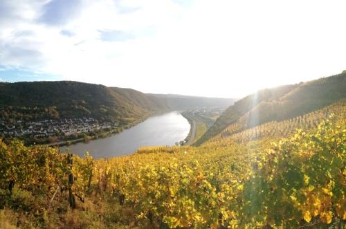 HerbstfarbenMosel28102024-005a