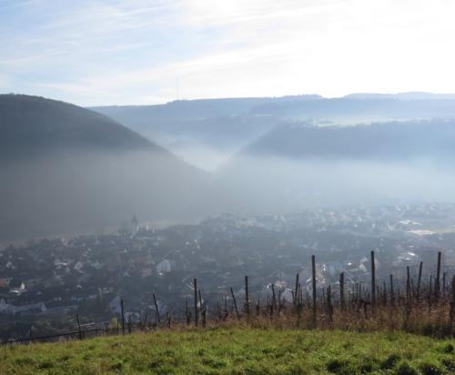 Winter202425Mosel 03 30112024-02