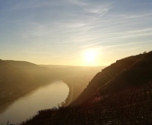 Winter202425Mosel 16 28122024-18