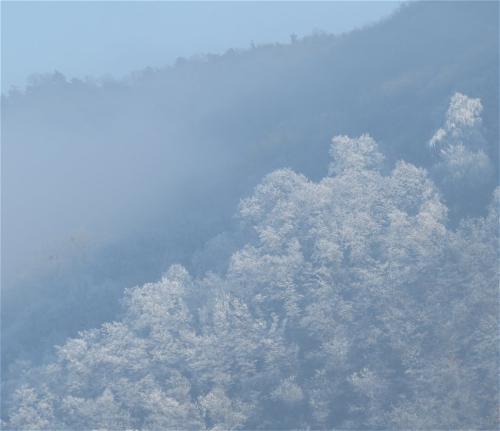 Winter202425Mosel 25 02022025-03