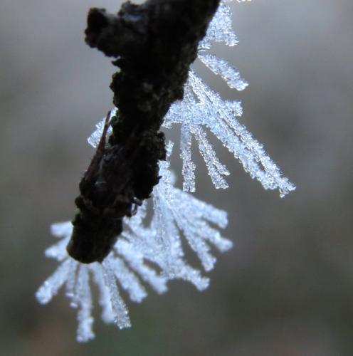 Winter202425Mosel 25 02022025-05