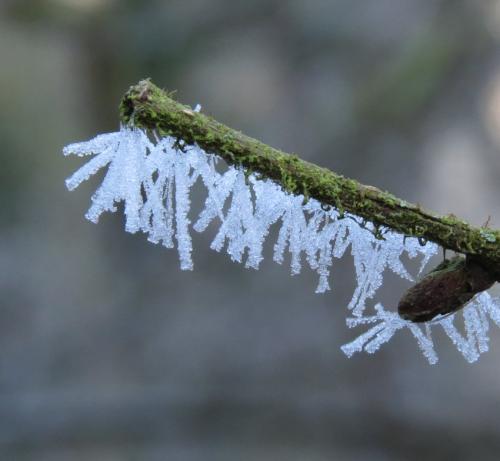 Winter202425Mosel 25 02022025-07