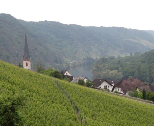10062025KlottenundDortebachtal02