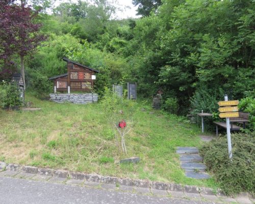 10062025KlottenundDortebachtal03