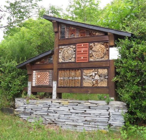 10062025KlottenundDortebachtal04