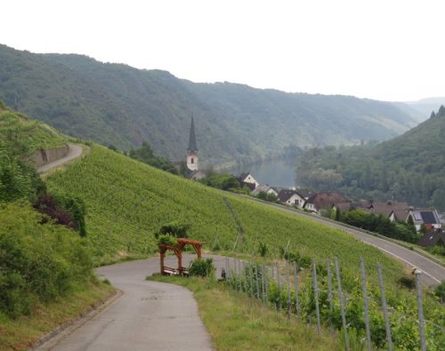 10062025KlottenundDortebachtal05