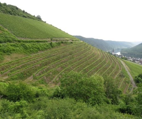 10062025KlottenundDortebachtal07