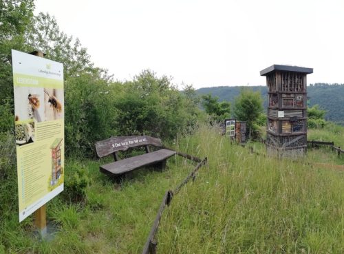 10062025KlottenundDortebachtal09a