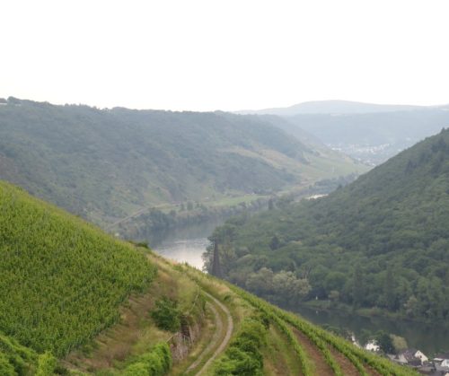 10062025KlottenundDortebachtal13