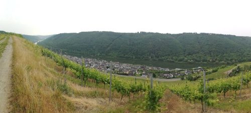 10062025KlottenundDortebachtal13a