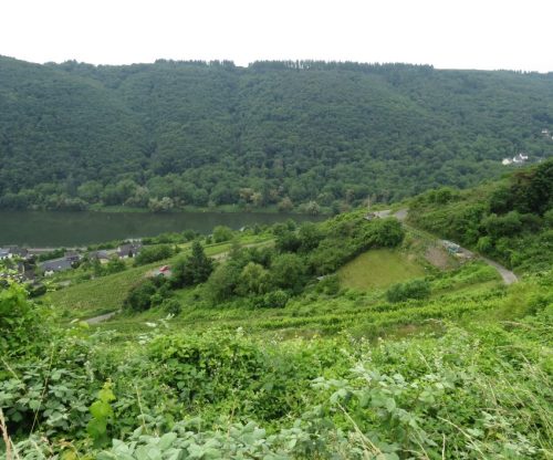 10062025KlottenundDortebachtal14