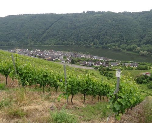 10062025KlottenundDortebachtal15