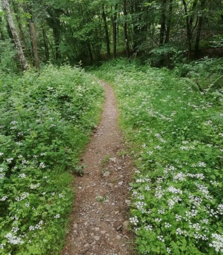 10062025KlottenundDortebachtal22a