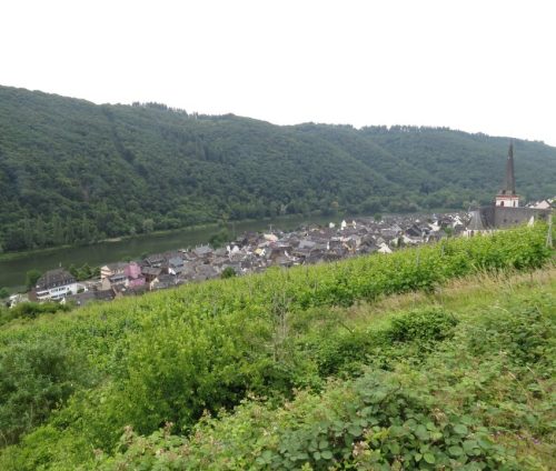 10062025KlottenundDortebachtal23