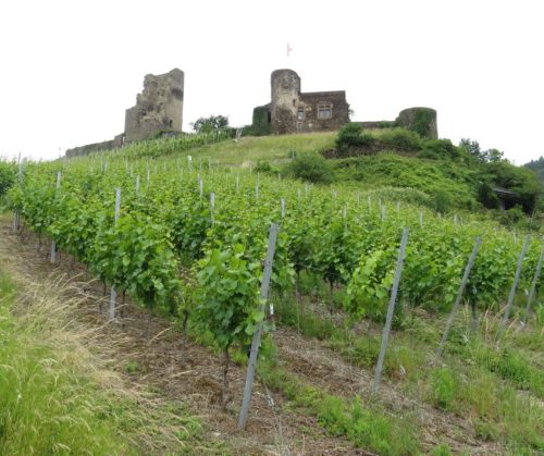 10062025KlottenundDortebachtal25
