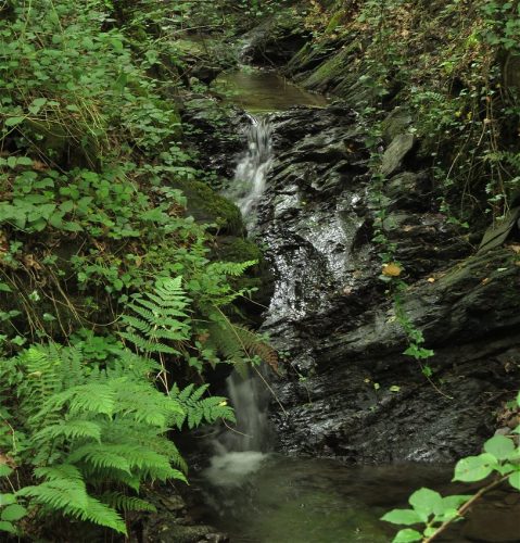 10062025KlottenundDortebachtal31