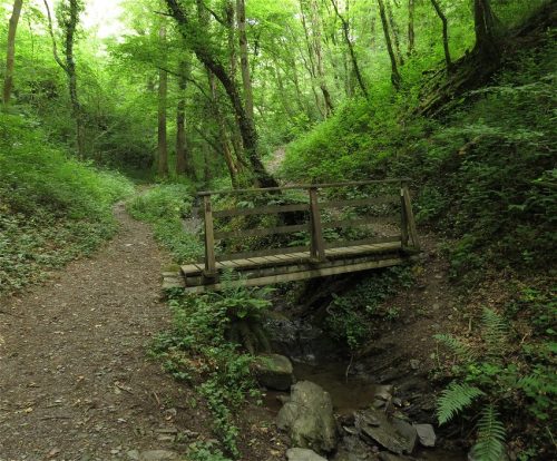 10062025KlottenundDortebachtal32
