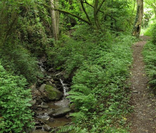 10062025KlottenundDortebachtal33