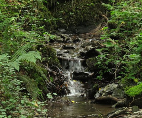 10062025KlottenundDortebachtal34