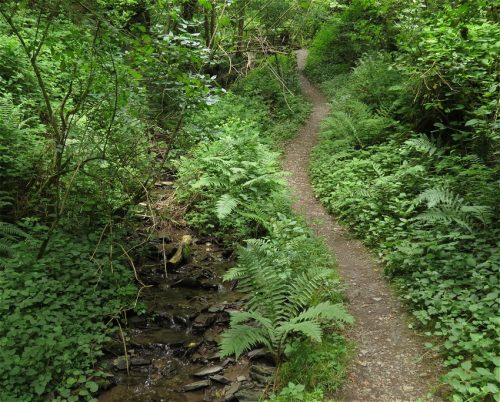 10062025KlottenundDortebachtal35