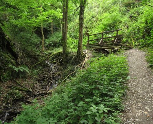 10062025KlottenundDortebachtal36