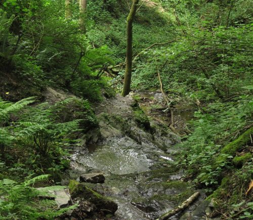 10062025KlottenundDortebachtal39