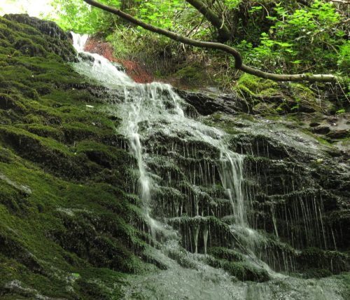 10062025KlottenundDortebachtal40