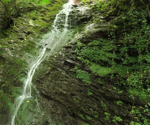 10062025KlottenundDortebachtal41