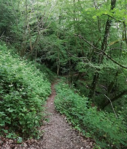 10062025KlottenundDortebachtal41a