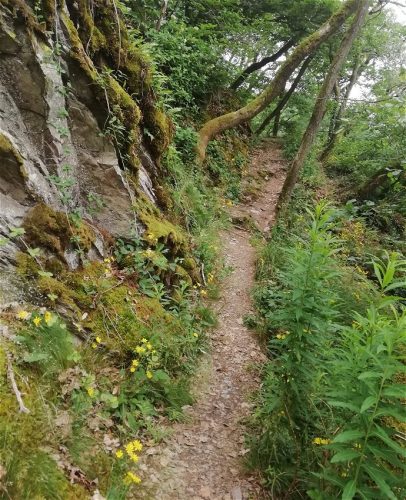 10062025KlottenundDortebachtal41b
