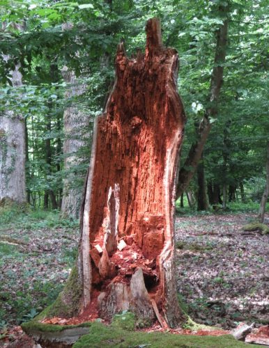 10062025KlottenundDortebachtal42