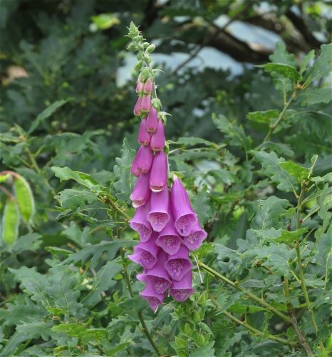 10062025KlottenundDortebachtal47