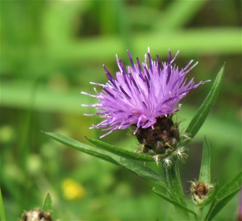 10062025KlottenundDortebachtal50
