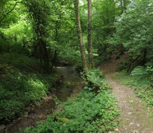 10062025KlottenundDortebachtal51
