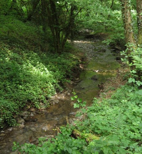 10062025KlottenundDortebachtal52