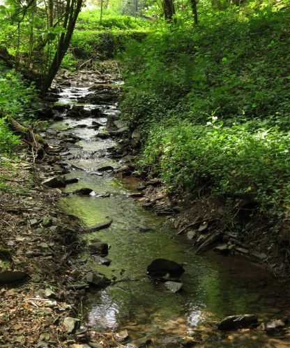 10062025KlottenundDortebachtal53