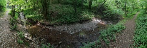 10062025KlottenundDortebachtal53a