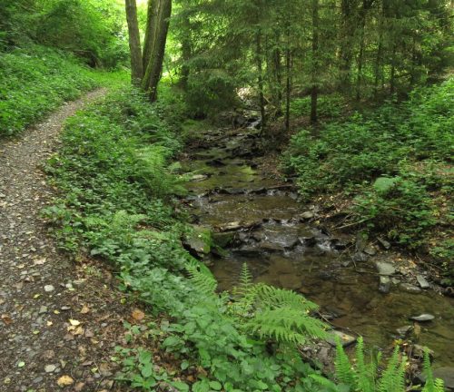 10062025KlottenundDortebachtal54