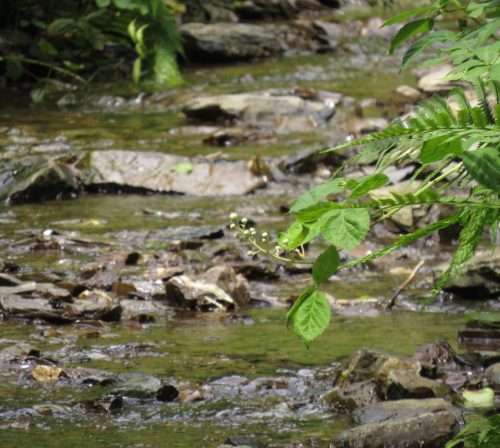 10062025KlottenundDortebachtal55