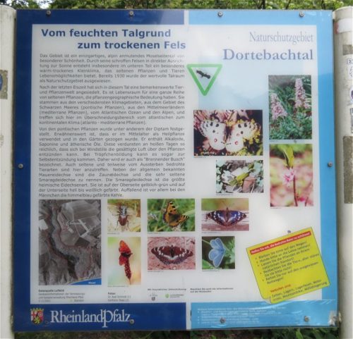10062025KlottenundDortebachtal57