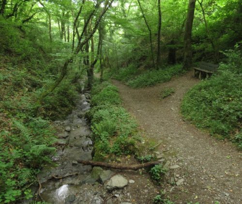 10062025KlottenundDortebachtal58