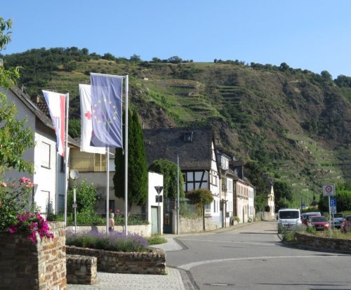 20062025KobernWinningen-Weinberge10