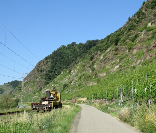 20062025KobernWinningen-Weinberge36