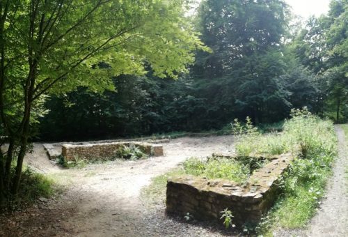 11072025Remstecken-Guels06a