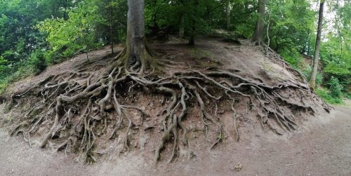 11072025Remstecken-Guels09a