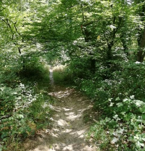 11072025Remstecken-Guels11a
