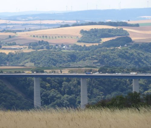 11072025Remstecken-Guels17
